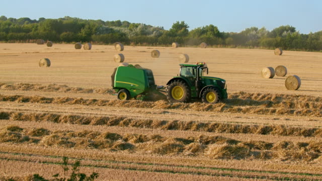 paddock maintenance