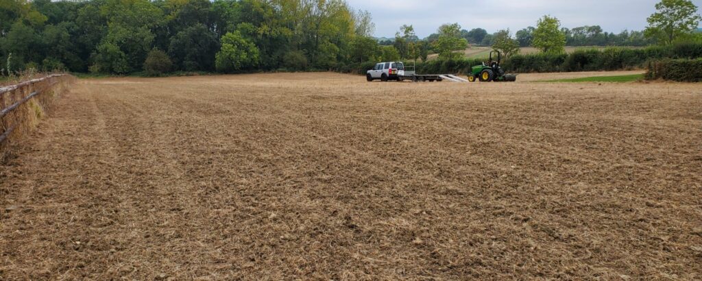 Wildflower contractors in Shropshire, Little Malvern Farm Wildflower Gardening in the Cotswolds, Little Malvern Farm Wildflower Garden in Worcestershire