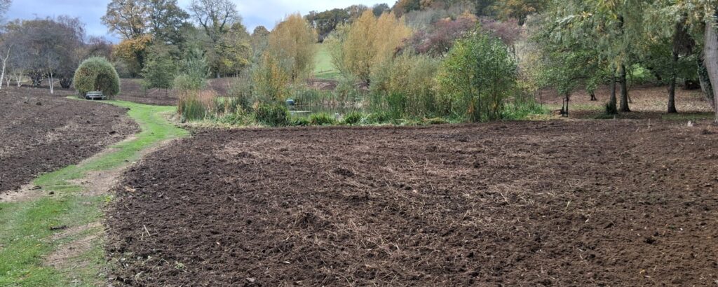 Hedge Tree planting Gloucestershire Wildflower contractors in Shropshire, Little Malvern Farm Wildflower Gardening in Herefordshire, Little Malvern Farm