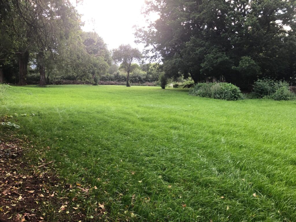 paddock maintenance